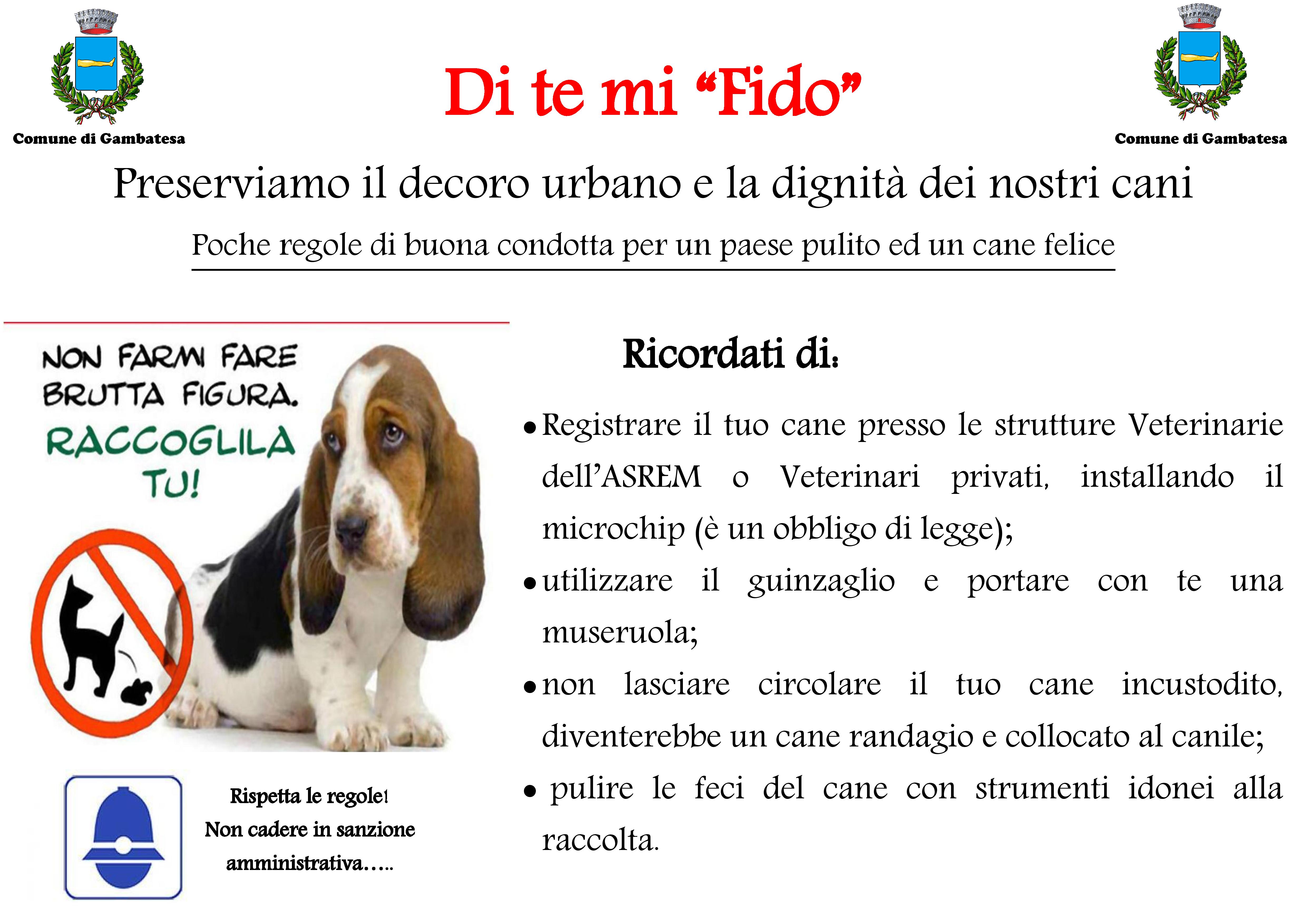 Campagna Di te mi fido-page-001